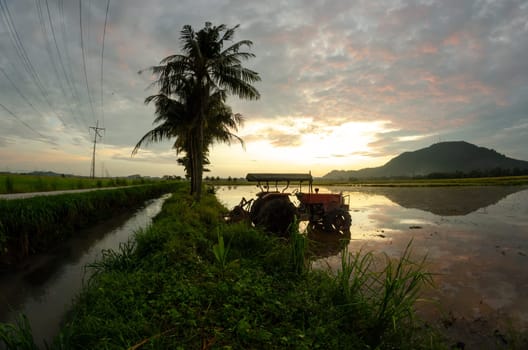 A tractor parking at the paddy field beside coconut tree and electric tower in sunrise morning