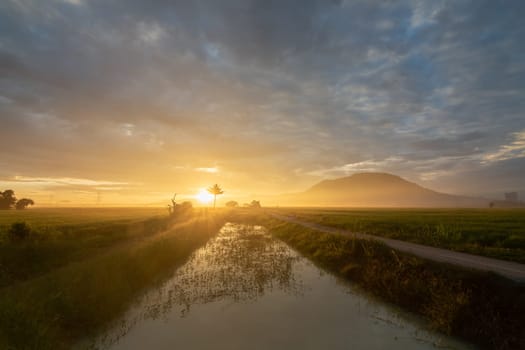 Golden sunrise hour at rural scene of river