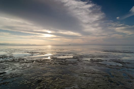 Sea coastal muddy land in sunset hour