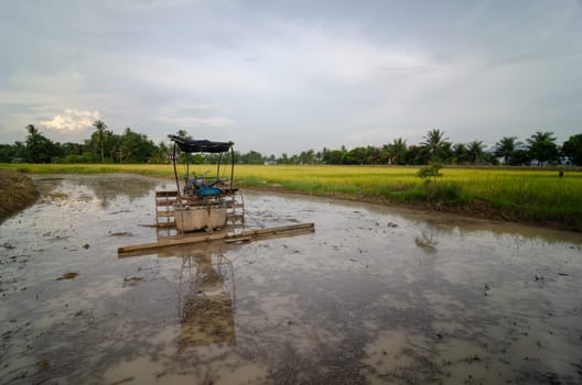 Tractor park in water at paddy field