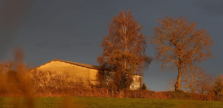 farmyard in sunlight with trees panorama