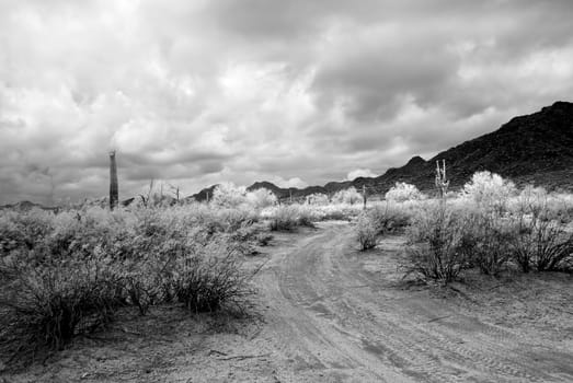 Infrared Dirt road leading off into the desert mountains
