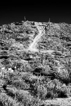 Infrared Dirt road leading off into the desert mountains