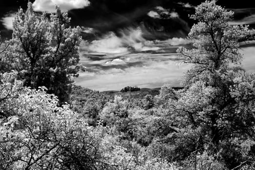 Infrared Black and white country mountains surrounding Sedona Arizona