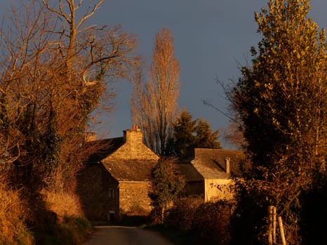 Old country house in sunlight with trees