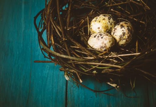Nest with eggs on wooden blue table. Texture added.