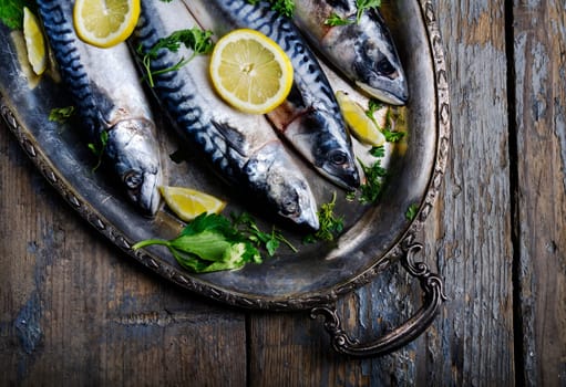 Mackerels seved on silver plate with lemon