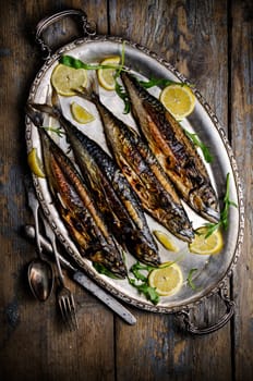 Mackerels seved on silver plate with lemon