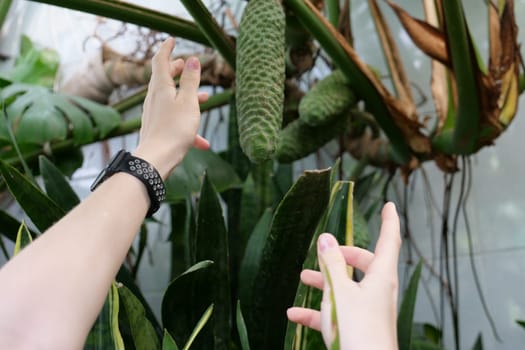 A hand holding a plantundefined
