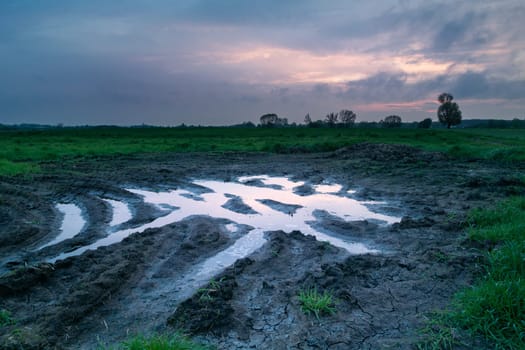 Water and mud on the meadow, Nowiny, Lubelskie, Poland