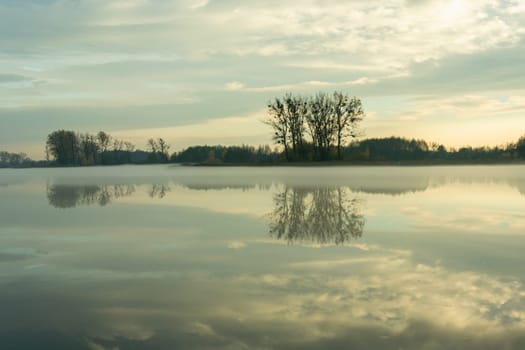 Trees on the shore of a misty lake, Stankow, Lubelskie, Poland