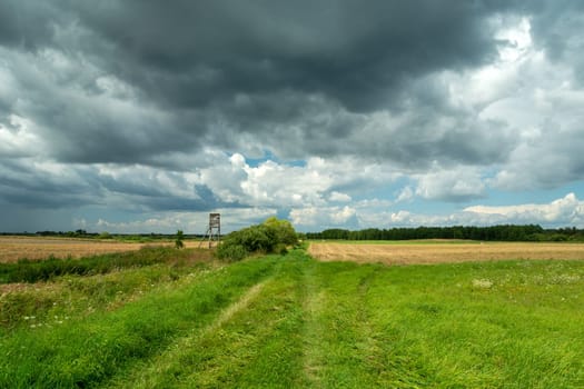 Dirt road through the fields and cloudy sky, Czulczyce, Lubelskie, Poland
