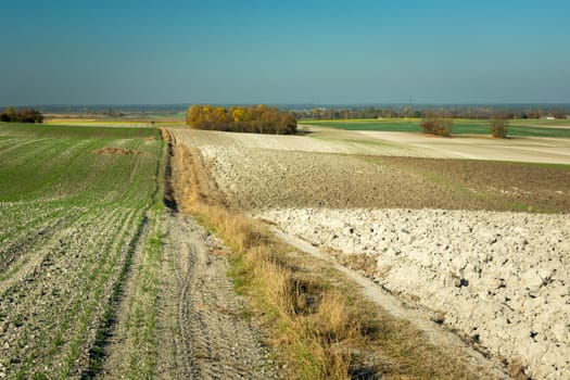 Dirt road through hilly farmland, Staw, Lubelskie, Poland