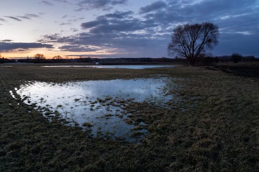 Water in the meadow and the evening sky, spring view