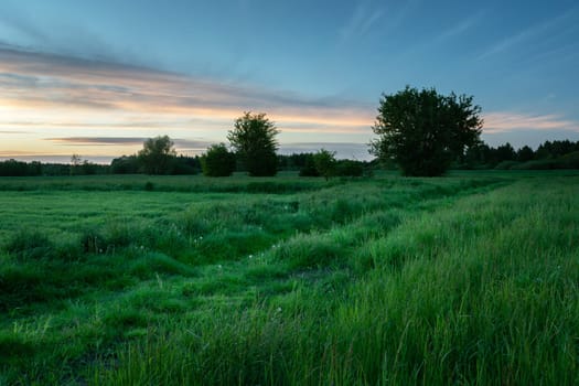 A path through a green meadow and clouds after sunset, Nowiny, Lubelskie, Poland