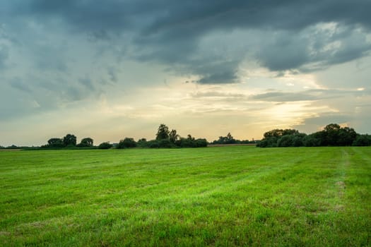 Green meadow and cloudy sky, Nowiny, Poland