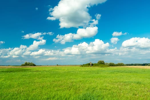 Green meadow and white clouds on the blue sky, Czulczyce, Poland