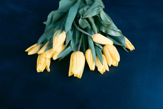 Beautiful yellow tulips on vintage blue background
