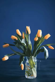 Beautiful yellow tulips on a blue background