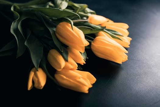 Beautiful yellow tulips on vintage blue background