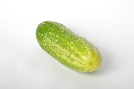 Small cucumber on a white background