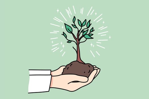 Person holding tree in soil in hands