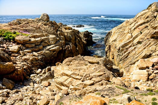 Pacific Ocean Asilomar State Marine Reserve Monterey California