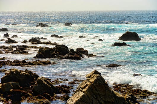 Pacific Ocean Asilomar State Marine Reserve Monterey Californi