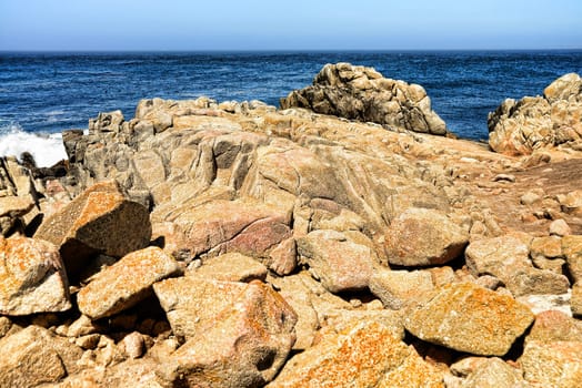Pacific Ocean Asilomar State Marine Reserve Monterey California