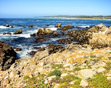 Asilomar State Marine Reserve Monterey Bay California