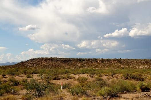 The Sonora desert in central Arizona USA