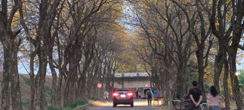 Chiayi, Taiwan - Mar 15, 2022 : Yellow Wind Tamaki Tunnel, Chiayi, Taiwan