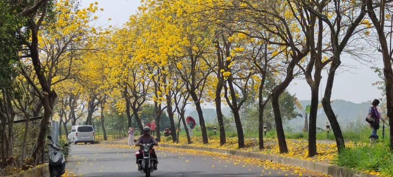 Chiayi, Taiwan - Mar 15, 2022 : Yellow Wind Tamaki Tunnel, Chiayi, Taiwan