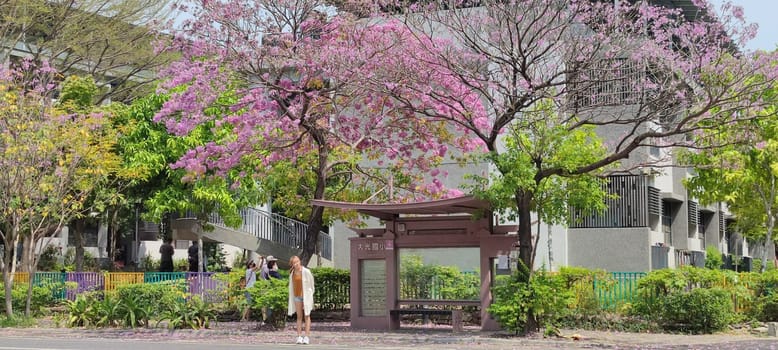 Daguang Elementary School, Tainan - Mar 16, 2022 : The most beautiful bus stop with red wind tree wood, Tainan, Taiwan