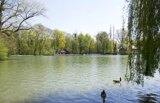 English Garden in Munich