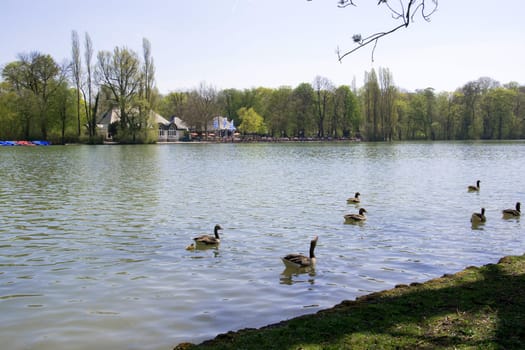 English Garden in Munich