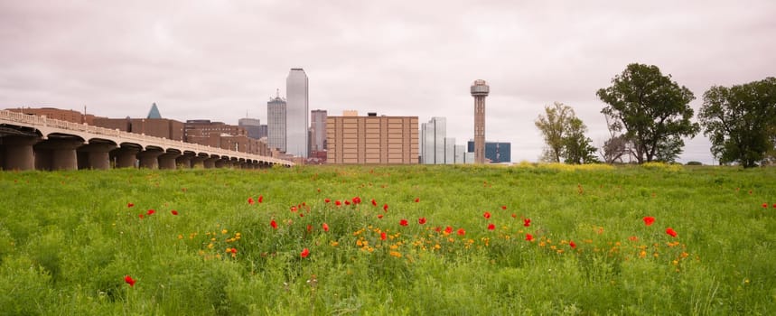 Spring brings wildflowers to the Trinity River Basin that surrounds Dallas Texas