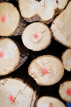 Logs are stacked and reay for transport winter in Minnesota