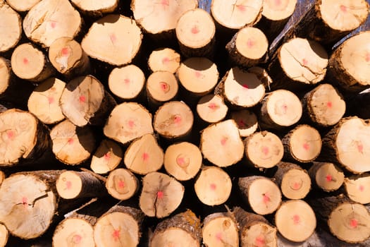 Logs are stacked and reay for transport winter in Minnesota