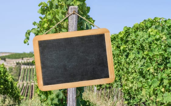 Empty blackboard in the vineyards