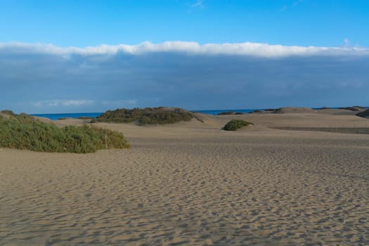 Interlocking patterns in sand - sand dunes, Maspalomas, Cran Canaria