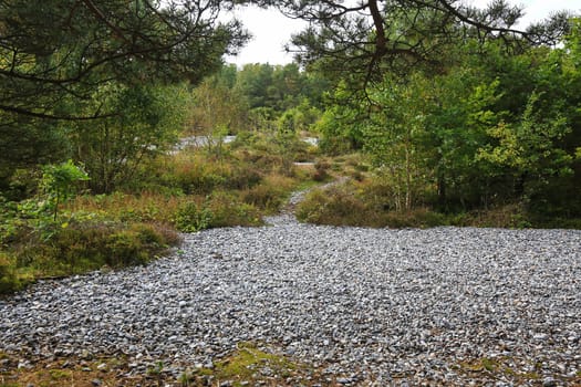 Narrow heath with flint fields