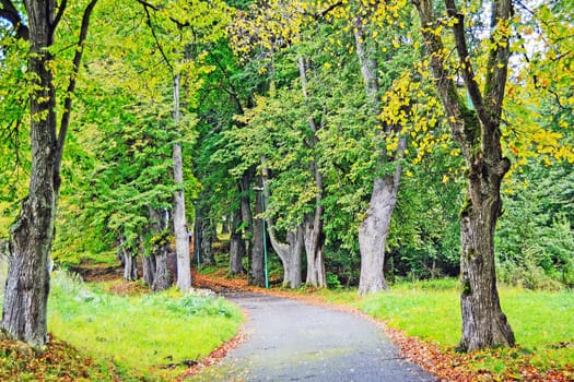 Road to the Hill in Slovakia