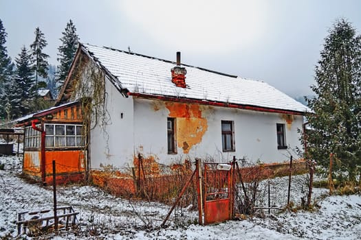 Abandoned house in village by forest