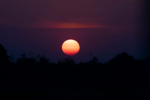 Silhouette of a tree landscape against a sunset sky Dawn sunset