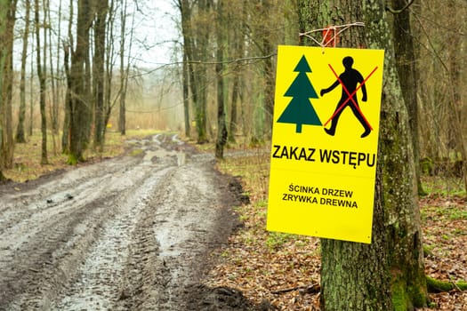 Forest with a board forbidden entry, logging of trees, spring view
