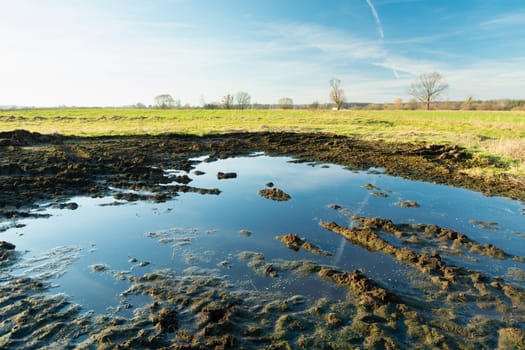 Water and mud in the meadow, spring day, Nowiny, Poland