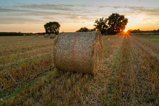 Hay bale in the field and sunset, Nowiny, Poland