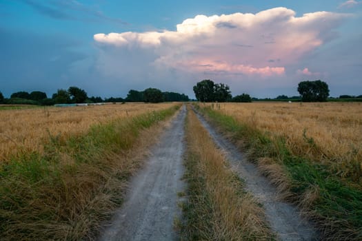 Dirt road through the fields and the evening sky, Nowiny, Poland