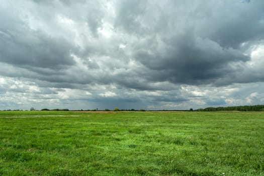 Green large meadow and cloudy sky, summer day, Czulczyce, Poland
